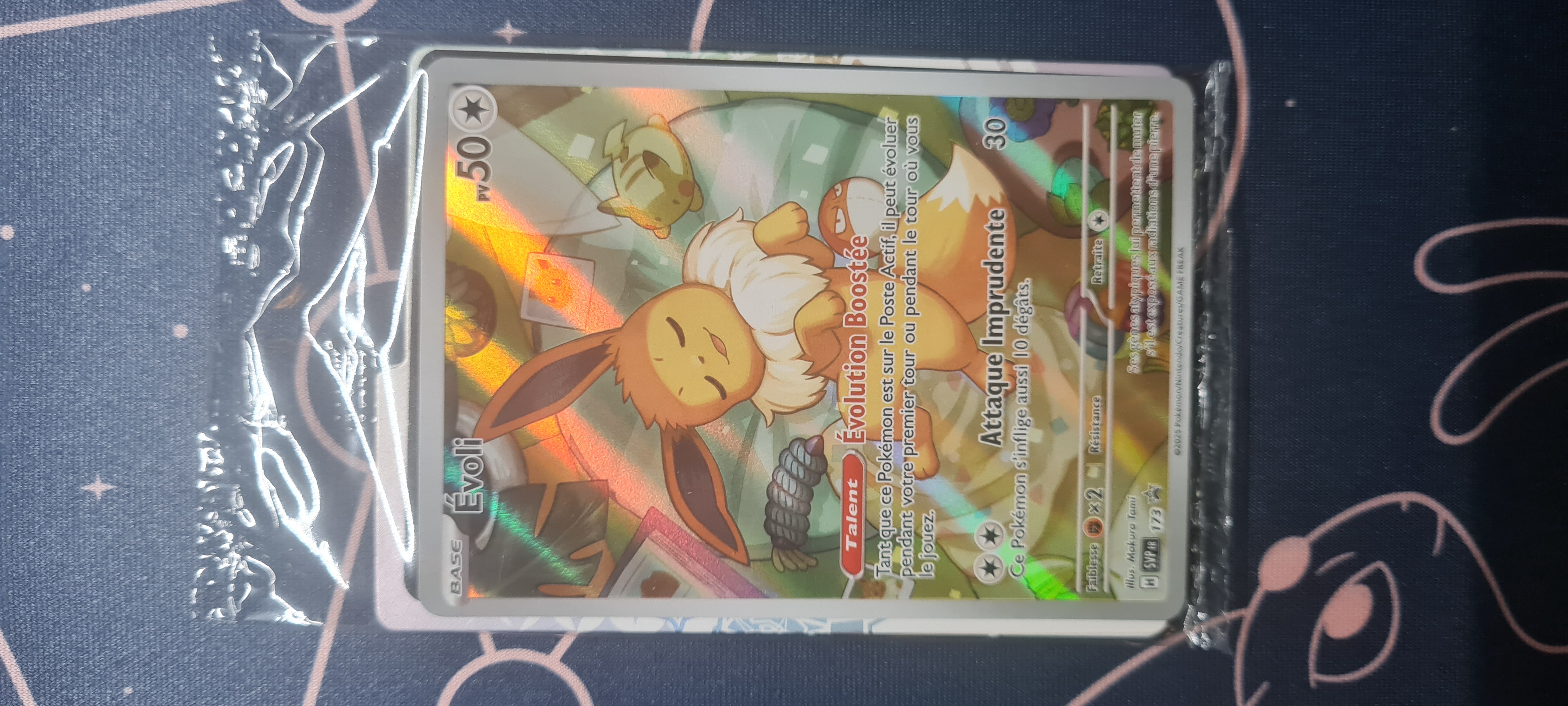 Évoli SVP 173 Scellée