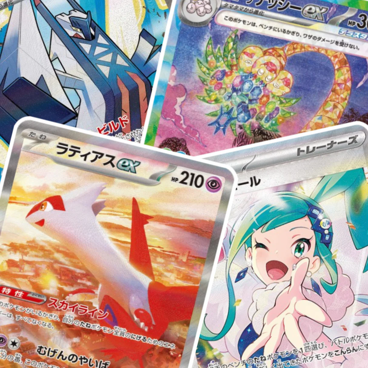 Display Pokémon Paradise Dragona Japonais1