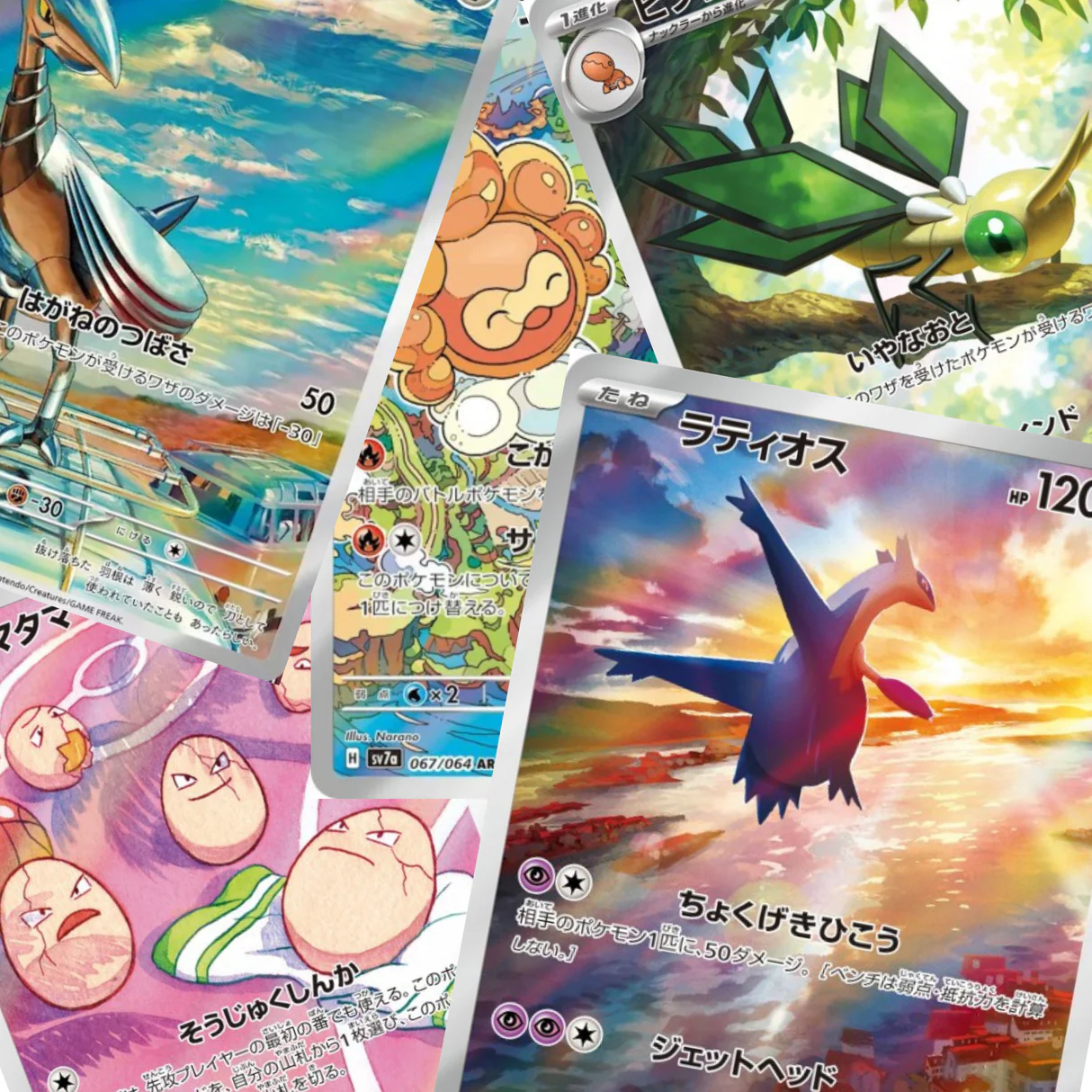 Display Pokémon Paradise Dragona Japonais2